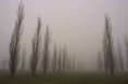 /album/galleria-foto-paesaggi/img05168a-jpg/