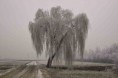 /album/galleria-foto-paesaggi/img10737-jpg/